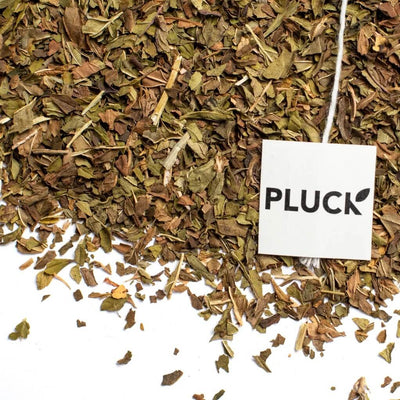 Pluck Tea - Harvest Mint (Organic)